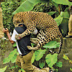 ��� ������ ����� ���� ������ �� �����