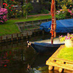 ��� �������