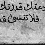 ���� ������