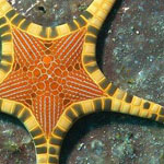 ��� ��� ���� ��� �� ������ ������ !