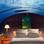 �� ����濿�