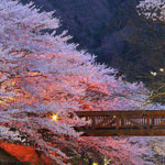 �� ���� ����� �������