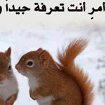 ��� �����