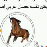 ����� ������ ��� ���� ��� ���� ���� ����