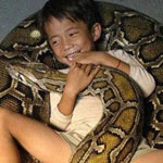 ��� ��� ��� ����