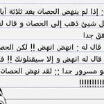 ���� �����