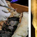 ������ ������ ���� ����� ����� �� ���� ����� ���� �� ���