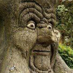 ����� ������ � ����� �����