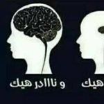 ����� ����