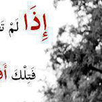 ��� ������ ����