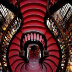 ���� �� ���� ����� ���� �� ����� - �������� 