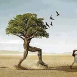 �� ���� ���� ��� ���� .. ������ �� ��...