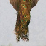 ����� ������