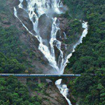 ���� ����� ������� �������� �� �����