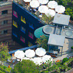 ����� ���� �������� �������� �� ���� �� ������� �� ����