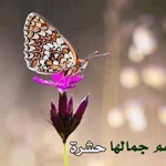 �� ����� ��������