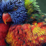 ���� ����