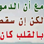 ������ ���� ����� �������!!!!