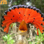  ���� ���� ���� ������ ������ 