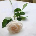 ���� �� ������������� ������������ 