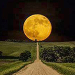 ������ ��� �����!