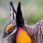 ���� ����� ���� ����� ������ �����