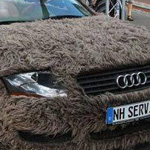 ����� �� ���� ����� ��� ������ɿ��