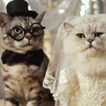 ����� �� �����