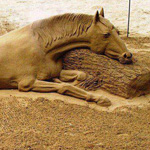 ��� �� ������