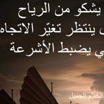 ���� ����� ������� ������