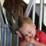 ����� �������