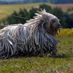 ��� ���������� 