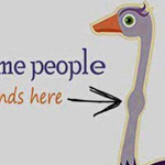 �������� �� �����