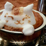 ���� ������ ����� �� ���� ������� ���� ������ ������ ��������.