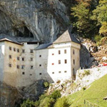 ���� ��������