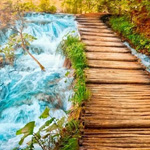 ���� ����