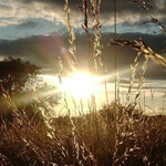 ���� ����� ���� �������