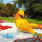 ���� ���� �����