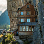 ���� ���� �� ������