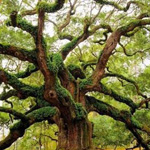 ���� ������ �� ����� ���������� 