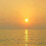 ���� ����� �� �������