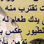 ������ ���� �� ����