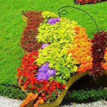 ���� �� ������ �� ��� ������