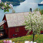 ������� ������� �� �������