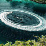 ��� �� ���������