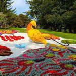 ���� �����