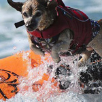 ����� ������  ������