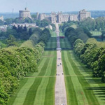 ���� ���� ����� �� ����� ������ �������� 