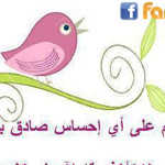 ����� ����