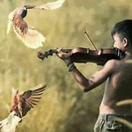 ������ ���� ��� ��� ������